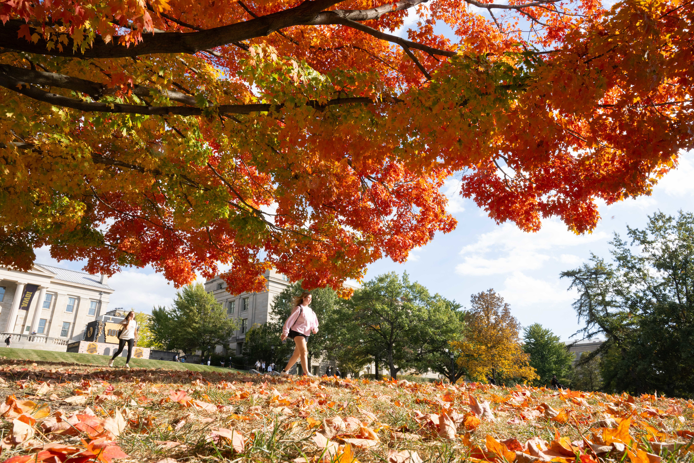 Photo of students walking under fall colors on the University of Iowa Pentacrest.